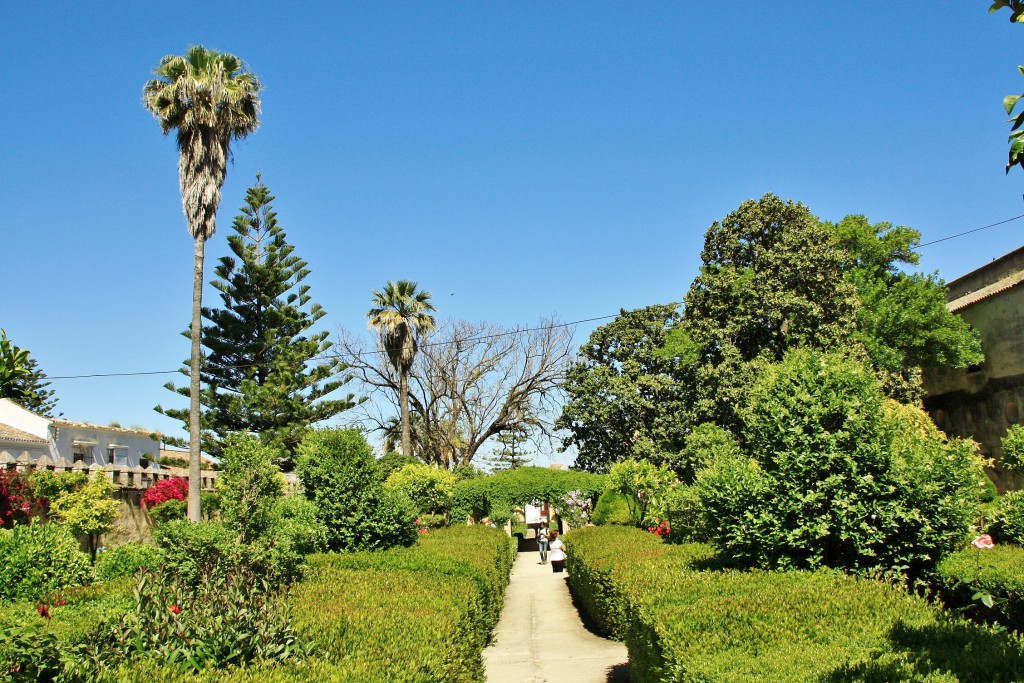 Foto: Jardín del palacio de los Ribera - Bornos (Cádiz), España