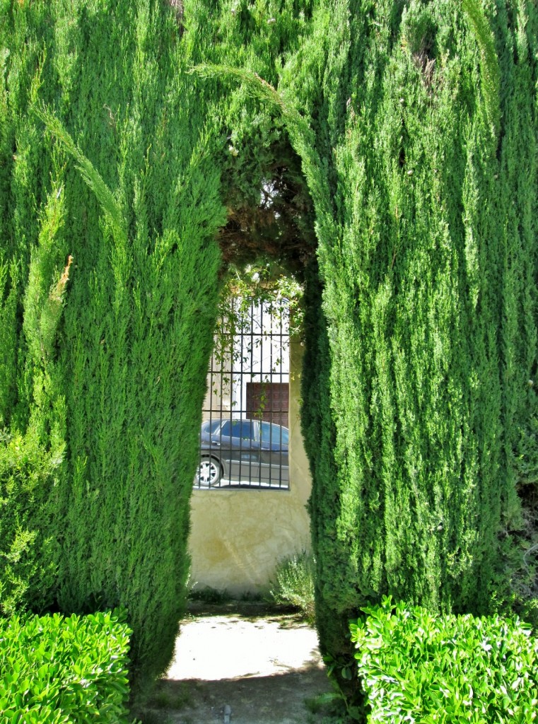 Foto: Jardín del palacio de los Ribera - Bornos (Cádiz), España
