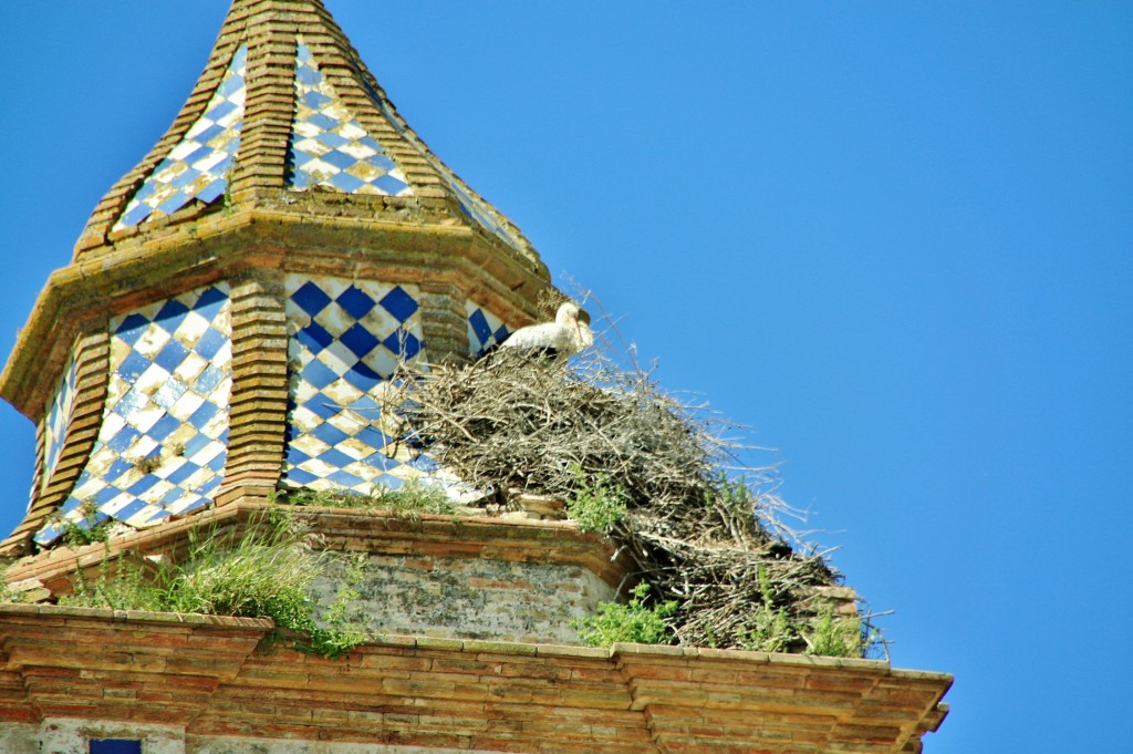 Foto: Iglesia - Bornos (Cádiz), España