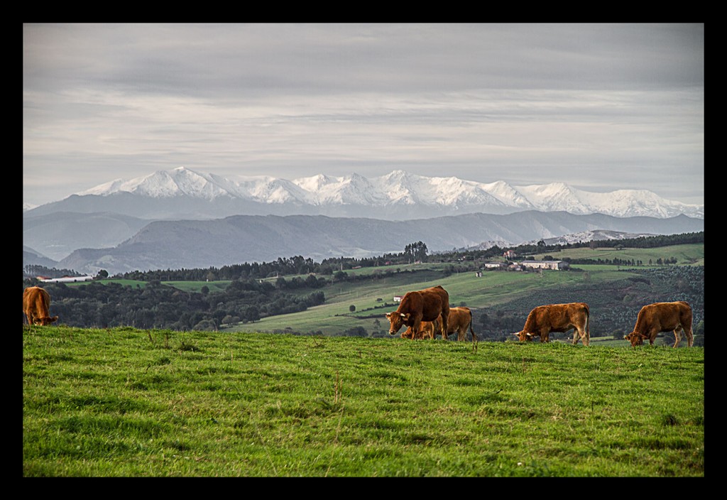 Foto de Picos de Europa (Cantabria), España
