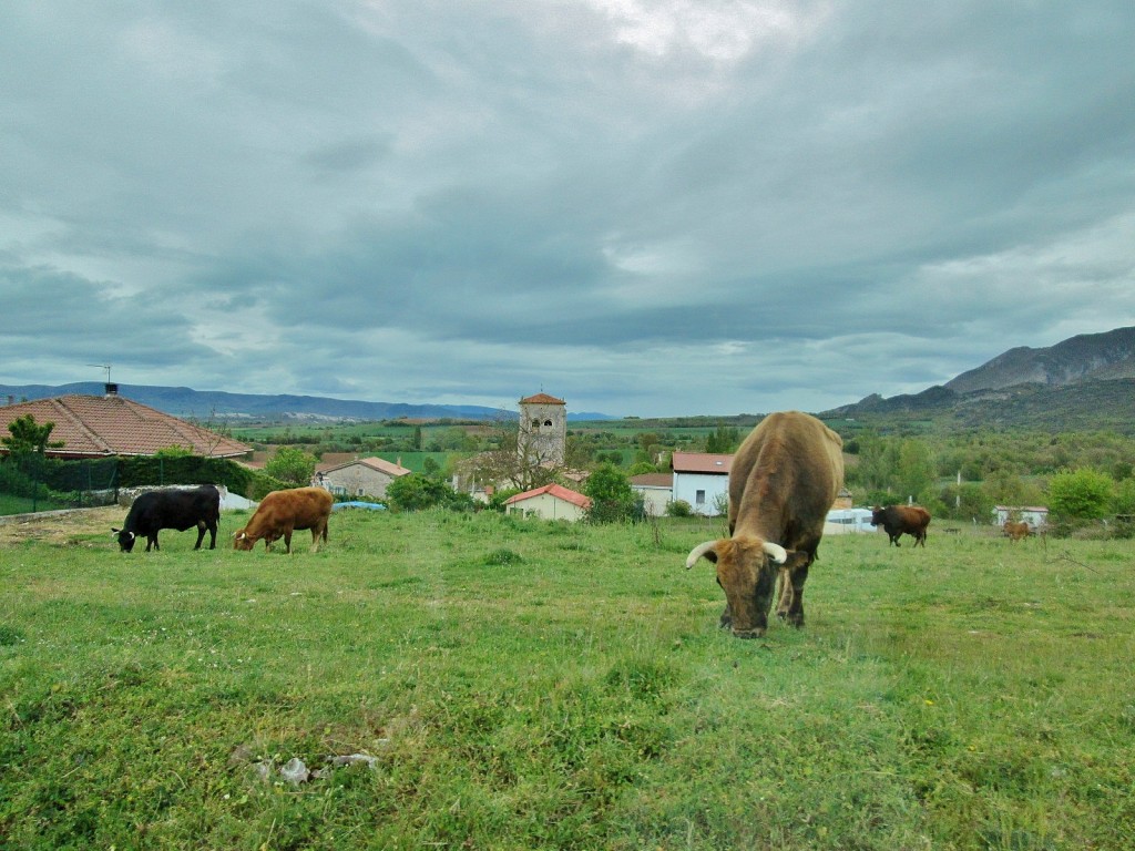 Foto: Paisaje - Medina de Pomar (Burgos), España
