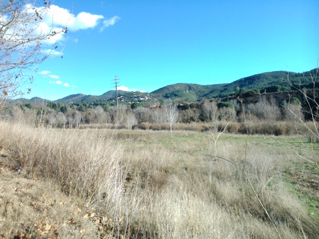 Foto de Sant Sadurni d`Anoia (Barcelona), España