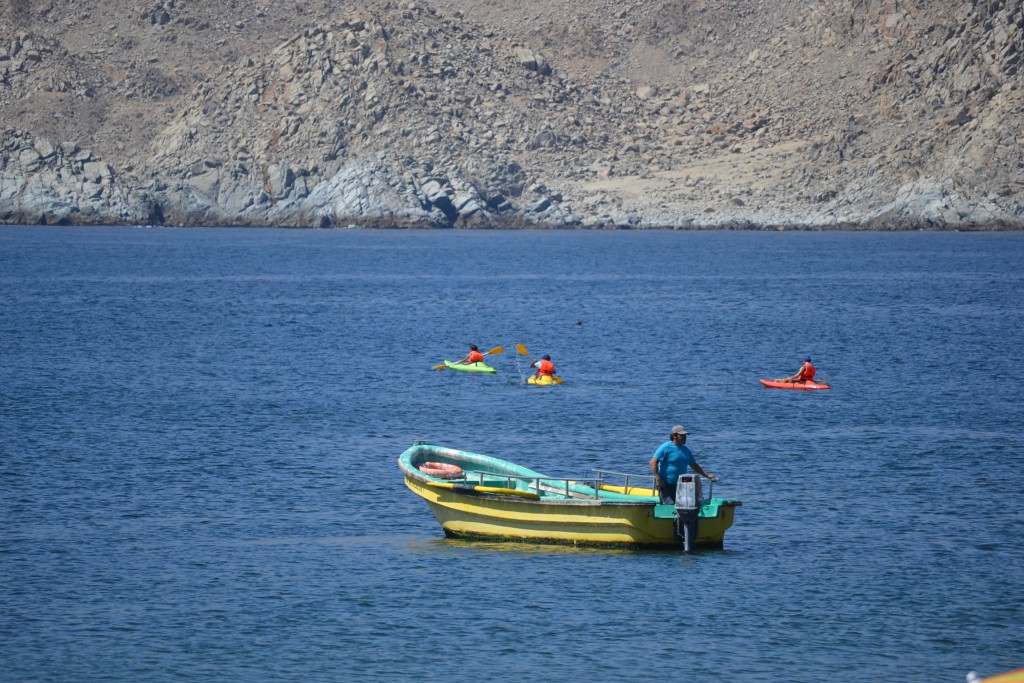 Foto: PAN DE AZUCAR - Chañaral (Atacama), Chile