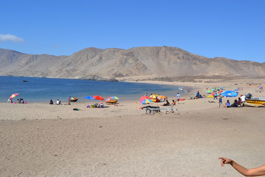 Foto: PAN DE AZUCAR - Chañaral (Atacama), Chile