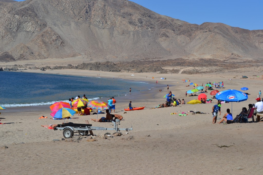 Foto: PAN DE AZUCAR - Chañaral (Atacama), Chile