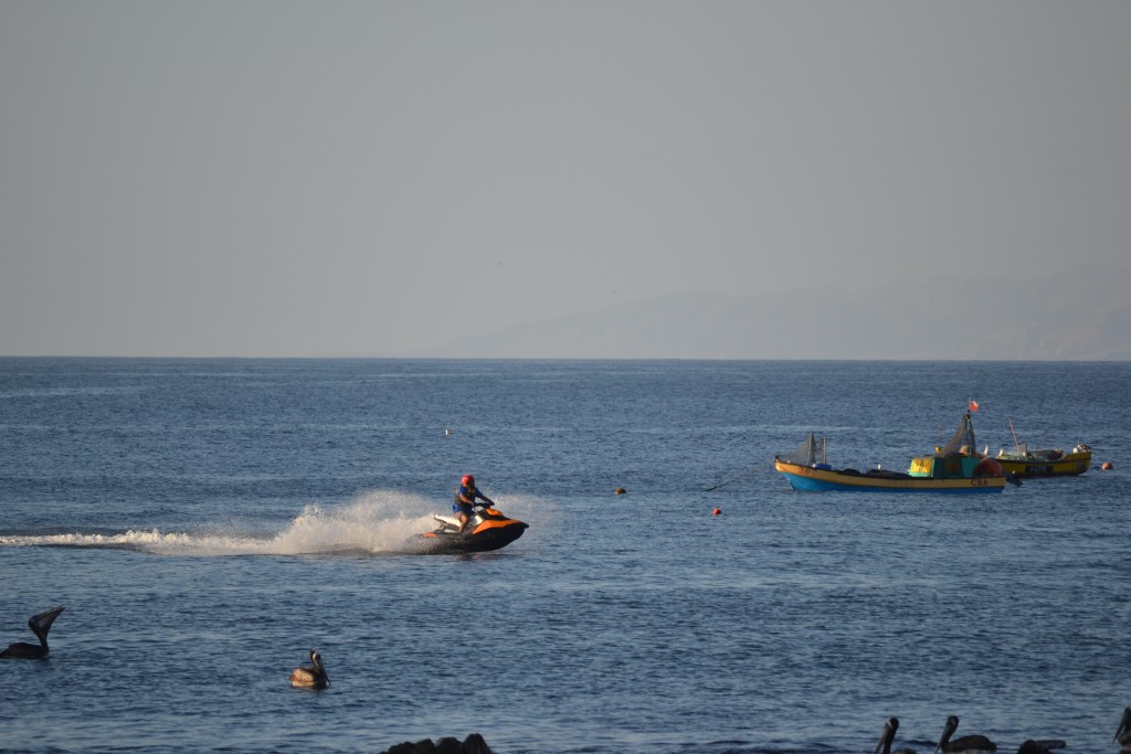 Foto: PAN DE AZUCAR - Chañaral (Atacama), Chile