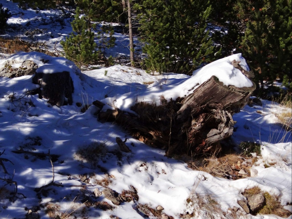 Foto: Tossal d'Estivella - Port del Comte (Lleida), España
