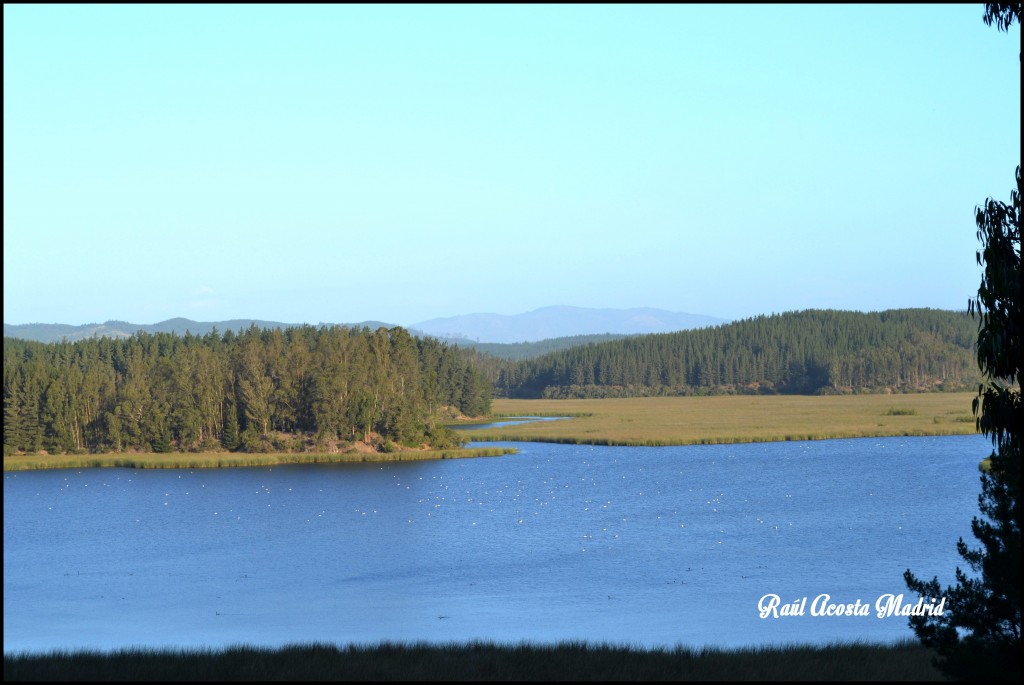 Foto de Vichuquén (Maule), Chile