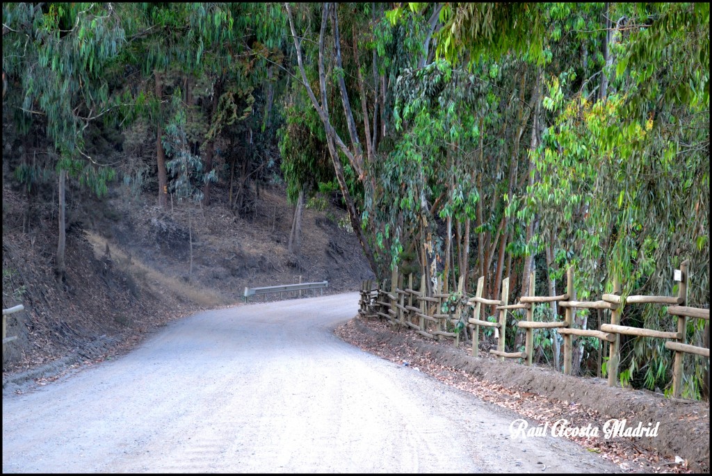 Foto de Vichuquén (Maule), Chile