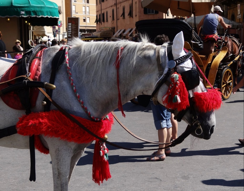 Foto: Piazza dei Miracoli - Pisa (Tuscany), Italia