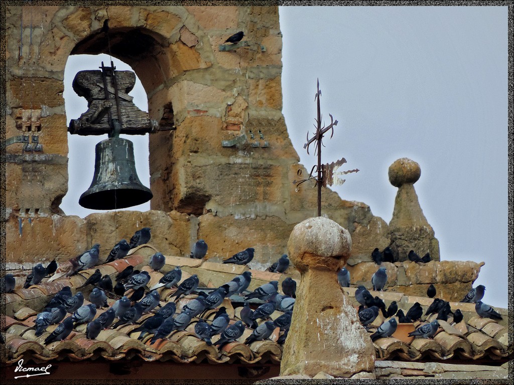 Foto: 140201-21 HOGUERA SAN BLAS - Alconchel De Ariza (Zaragoza), España