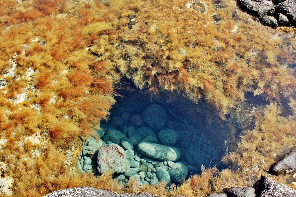Foto: Los Sargos - Los Llanillos (El Hierro) (Santa Cruz de Tenerife), España