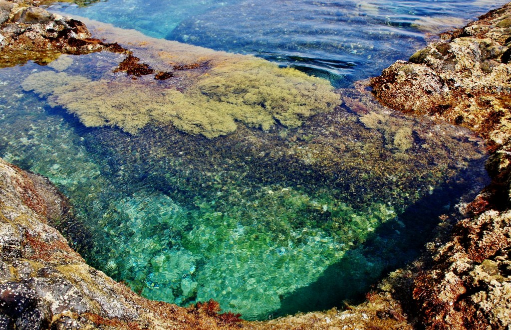 Foto: Los Sargos - Los Llanillos (El Hierro) (Santa Cruz de Tenerife), España