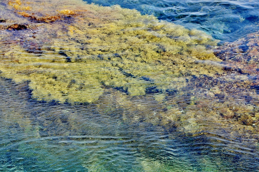 Foto: Los Sargos - Los Llanillos (El Hierro) (Santa Cruz de Tenerife), España
