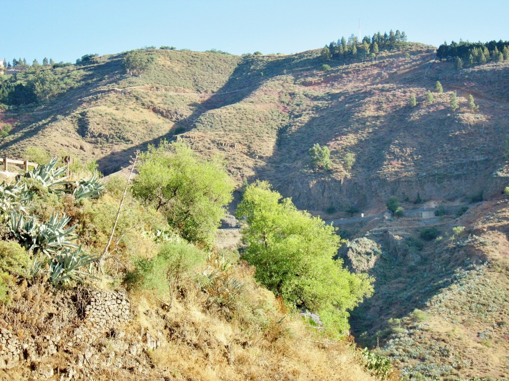 Foto: Paisaje - Tejeda (Gran Canaria) (Las Palmas), España
