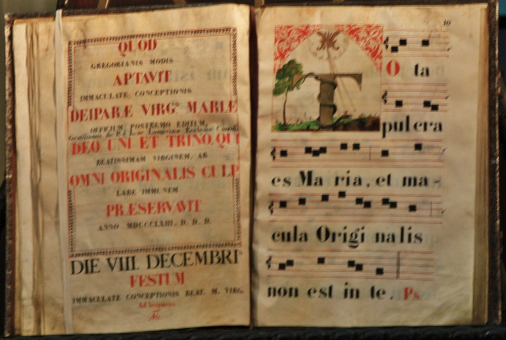 Foto: Catedral (Vegueta) - Las Palmas de Gran Canaria (Las Palmas), España