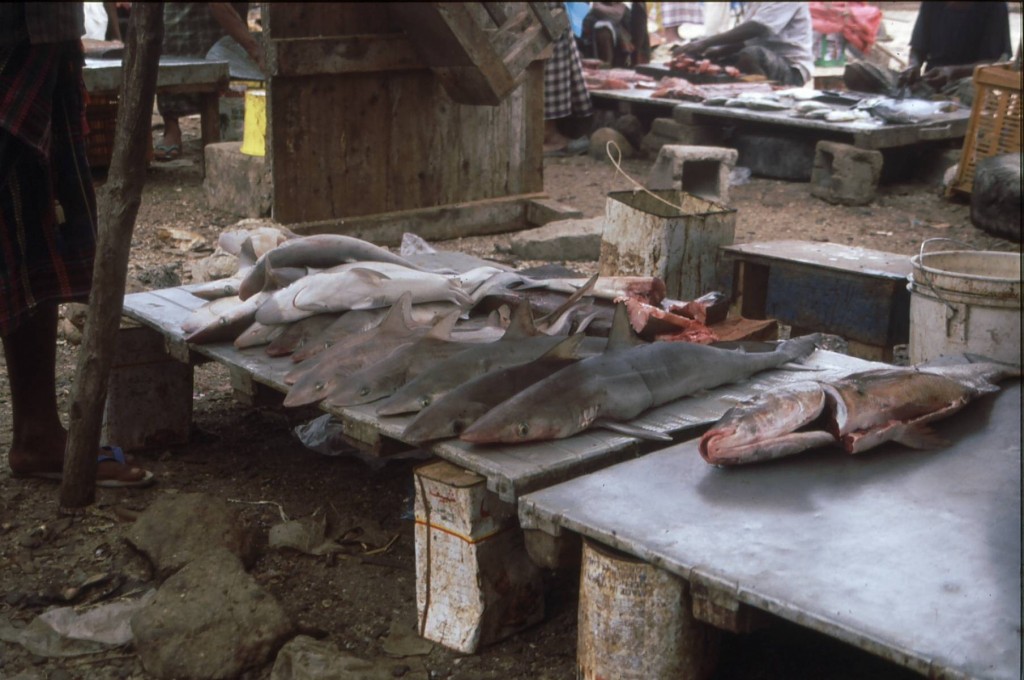 Foto de Hodeidah, Yemen