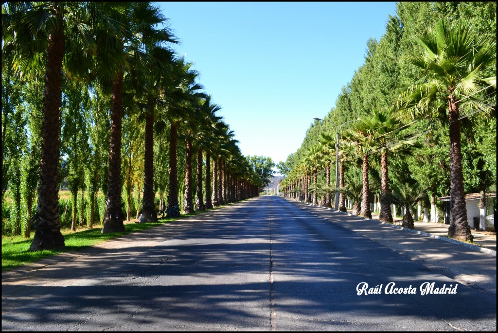 Foto de San Vicente de Tagua Tagua (Libertador General Bernardo OʼHiggins), Chile