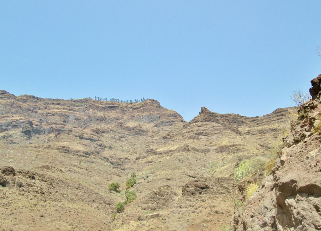 Foto: Paisaje - Mogán (Gran Canaria) (Las Palmas), España