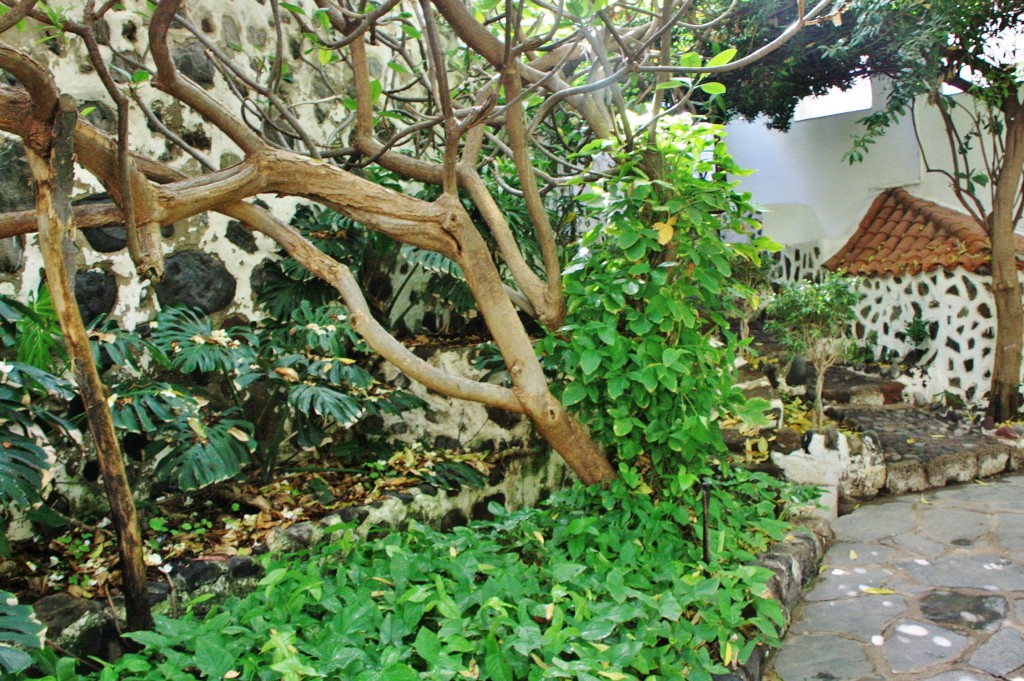 Foto: Huerto de las flores - Agaete (Gran Canaria) (Las Palmas), España