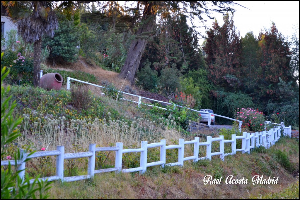 Foto de Vichuquén (Maule), Chile