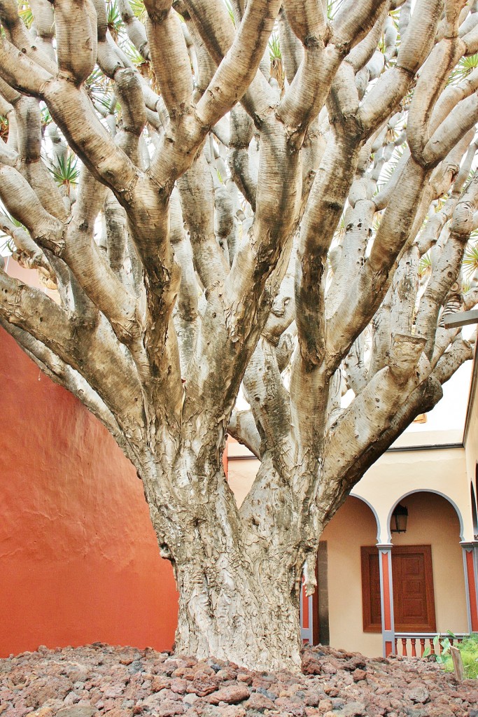 Foto: Museo de la cueva Pintada - Galdar (Las Palmas), España