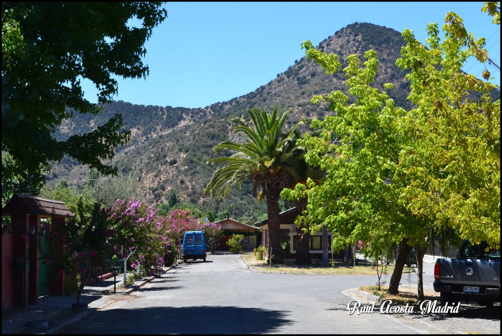 Foto de Peumo (Libertador General Bernardo OʼHiggins), Chile