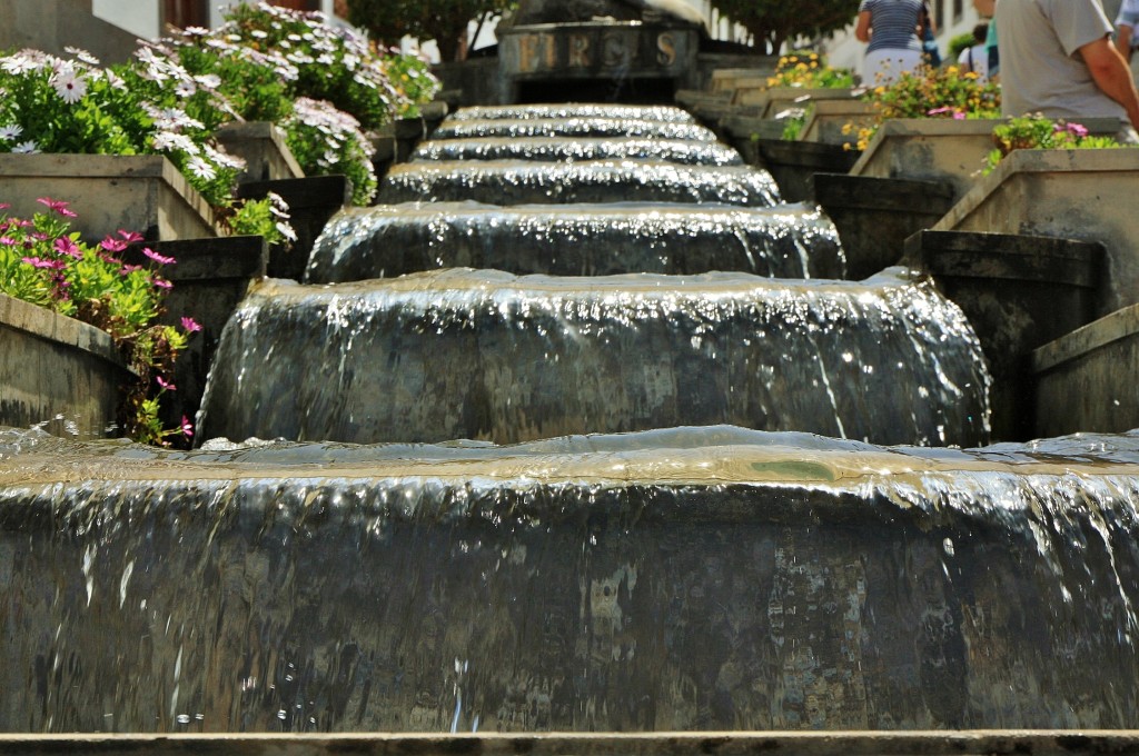 Foto: Paseo de Canarias - Firgas (Gran Canaria) (Las Palmas), España