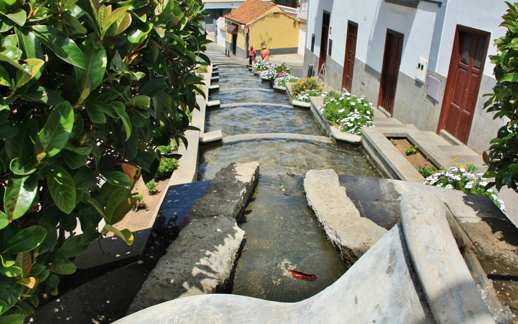 Foto: Paseo de Canarias - Firgas (Gran Canaria) (Las Palmas), España