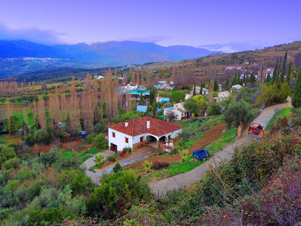 Foto: Camping Salitre - Cortes de la Frontera (Málaga), España