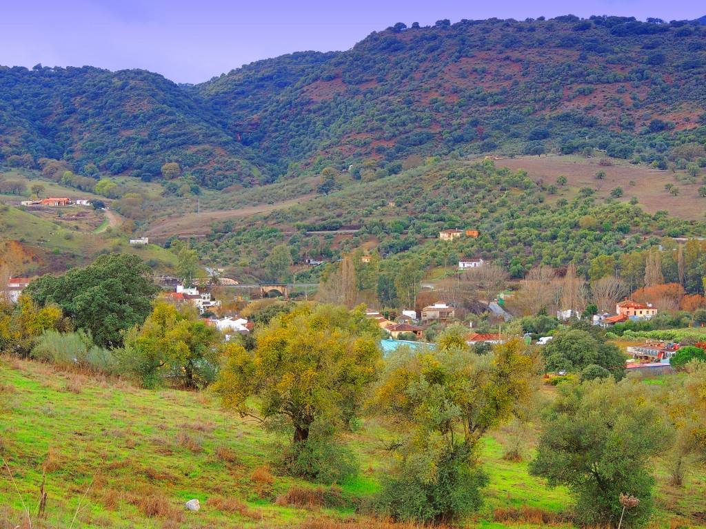 Foto: Cañada del Real Tesoro - Cortes de la Frontera (Málaga), España