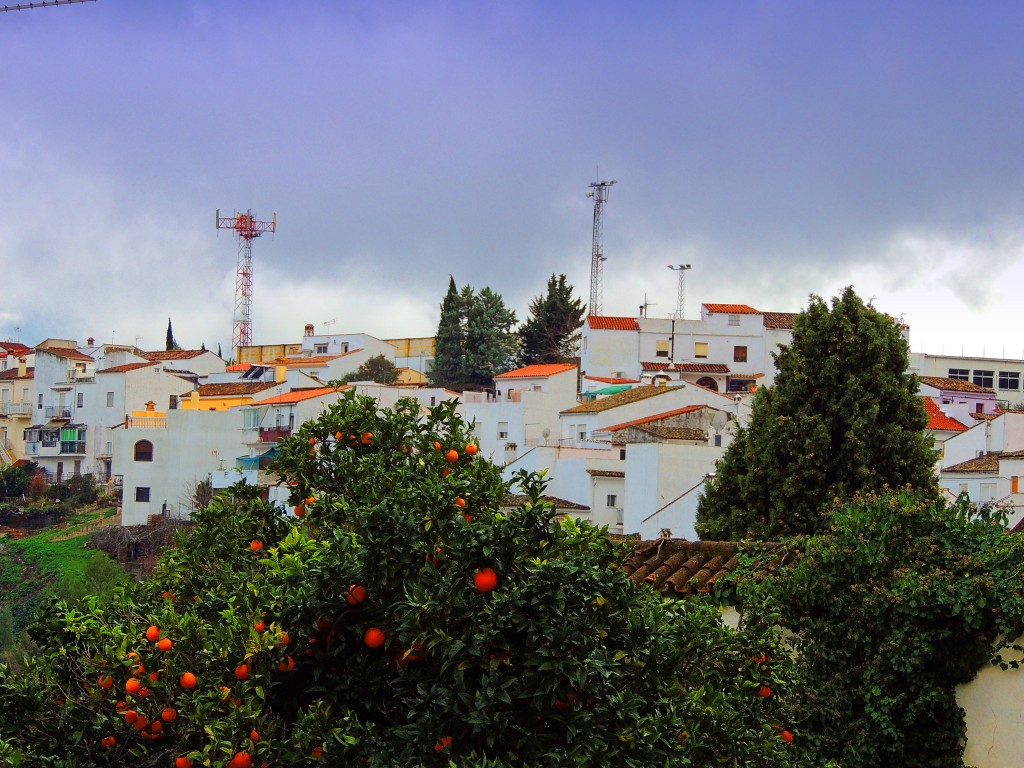Foto de Cortes de la Frontera (Málaga), España