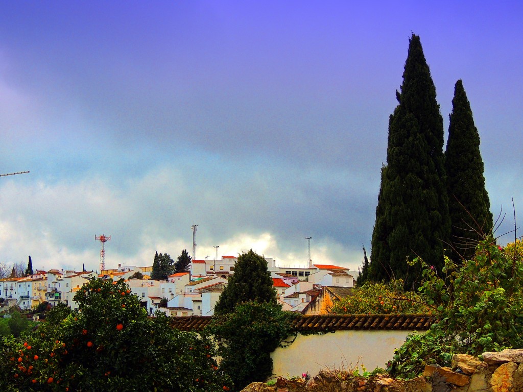 Foto de Cortes de la Frontera (Málaga), España