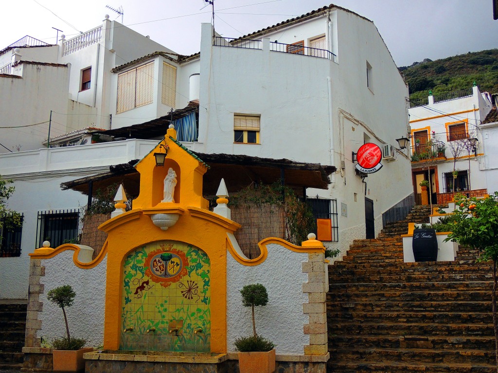 Foto: La Fuente - Cortes de la Frontera (Málaga), España
