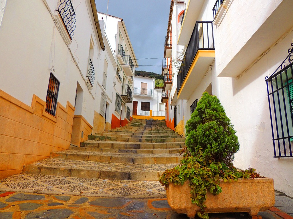 Foto de Cortes de la Frontera (Málaga), España