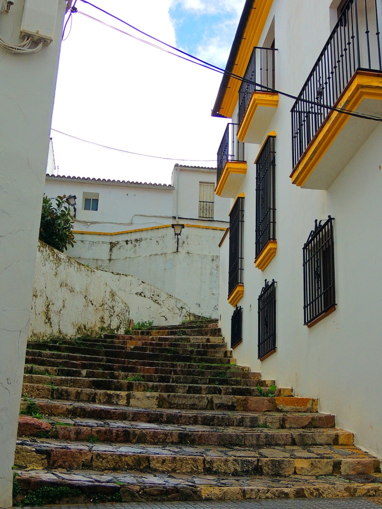 Foto de Cortes de la Frontera (Málaga), España