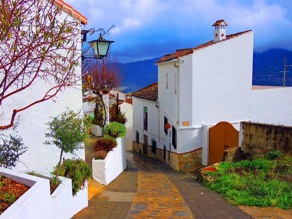 Foto de Cortes de la Frontera (Málaga), España
