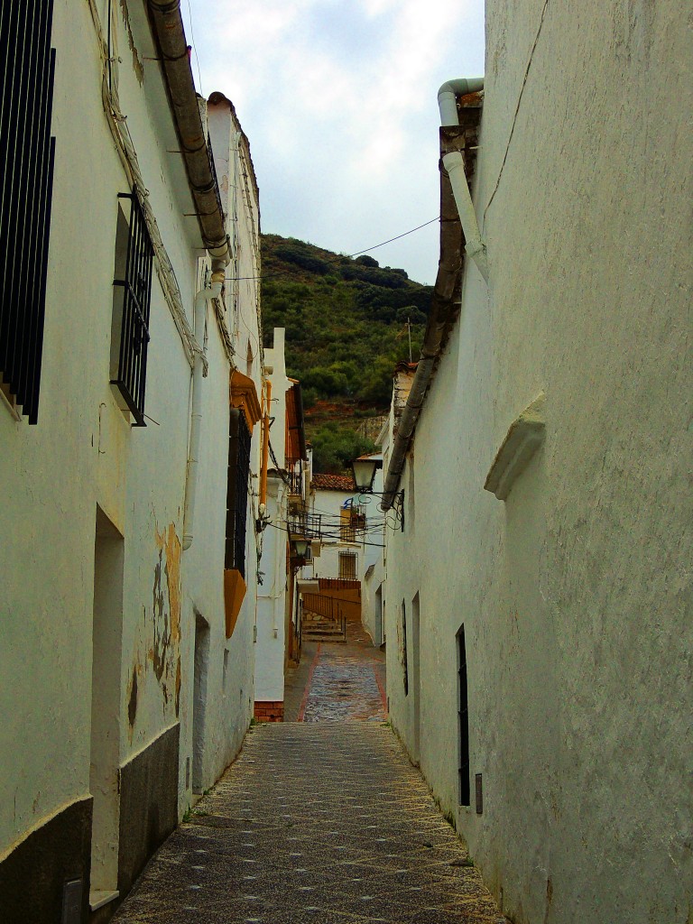 Foto de Cortes de la Frontera (Málaga), España