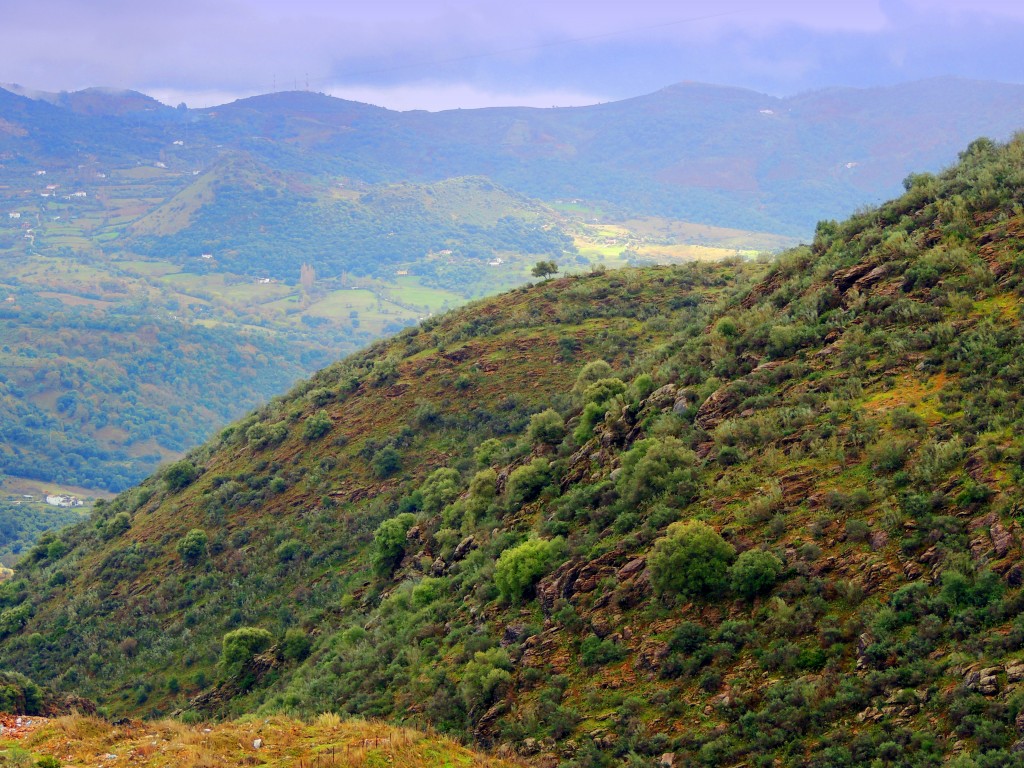 Foto de Cortes de la Frontera (Málaga), España