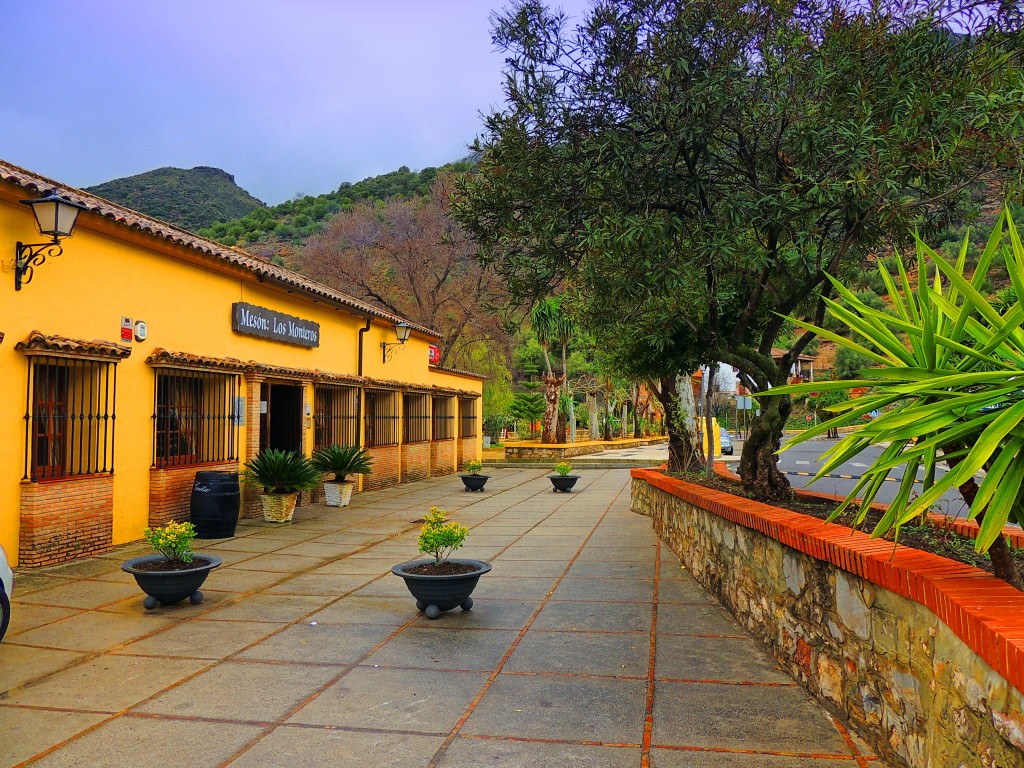 Foto: Mesón Los monteros - Cortes de la Frontera (Málaga), España