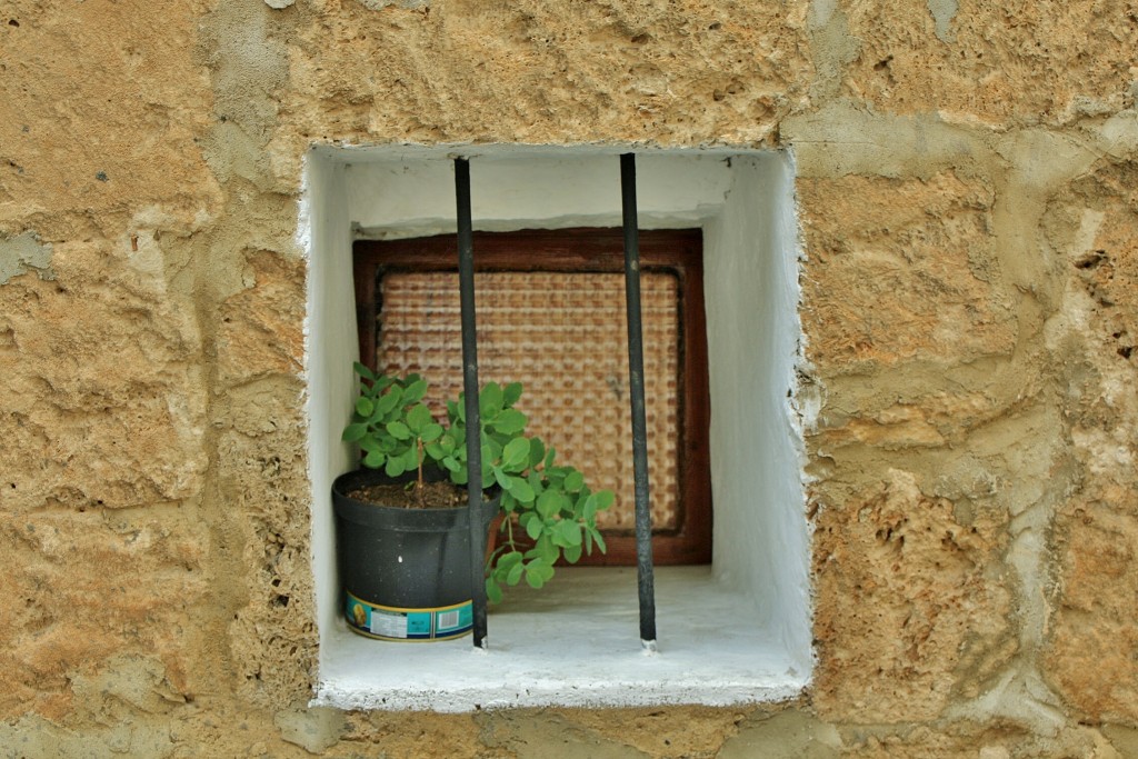 Foto: Vista del pueblo - Valdelateja (Burgos), España