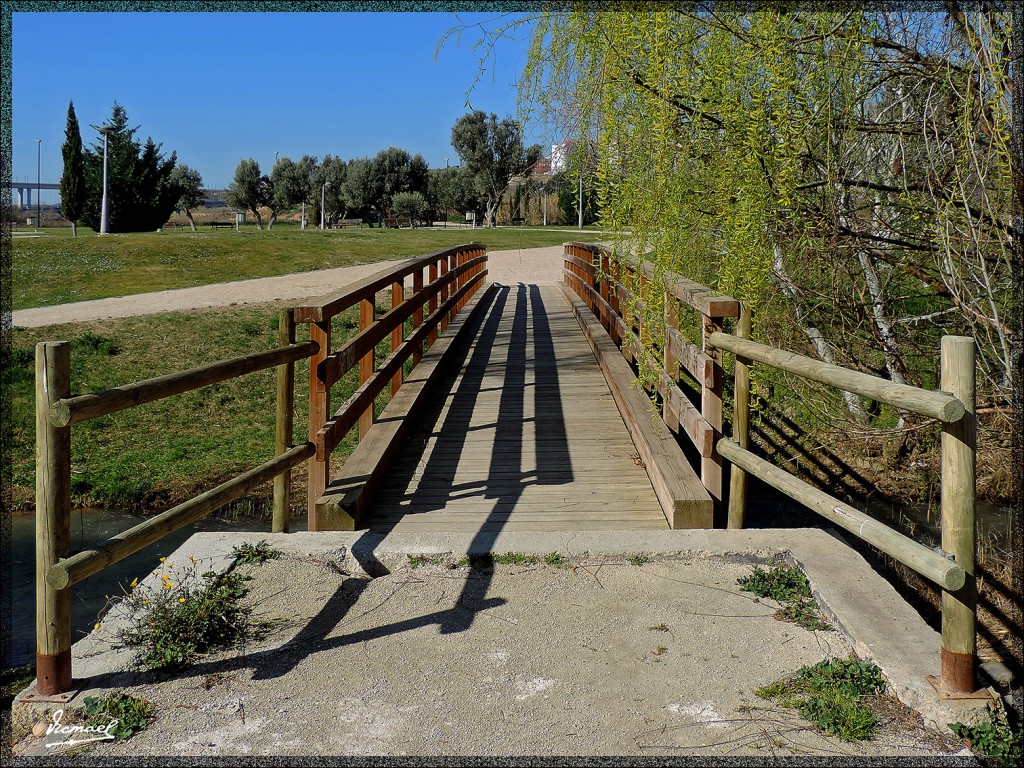 Foto: 140309-12 FUENTE LA JUNQUERA - Zaragoza (Aragón), España