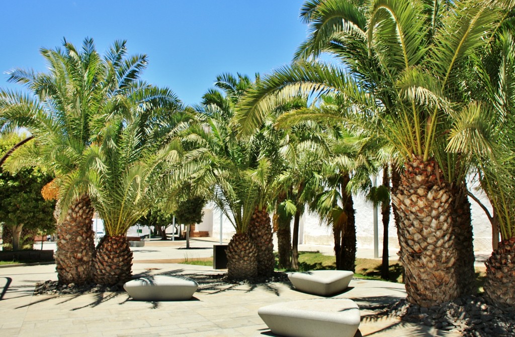 Foto: Vista del pueblo - Antigua (Fuerteventura) (Las Palmas), España