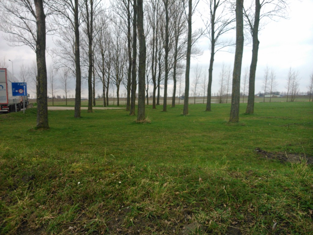 Foto de Aalsmeer, Países Bajos