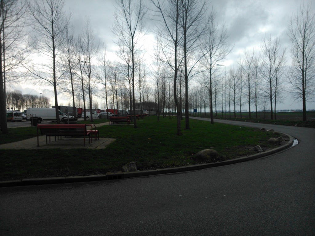 Foto de Aalsmeer, Países Bajos