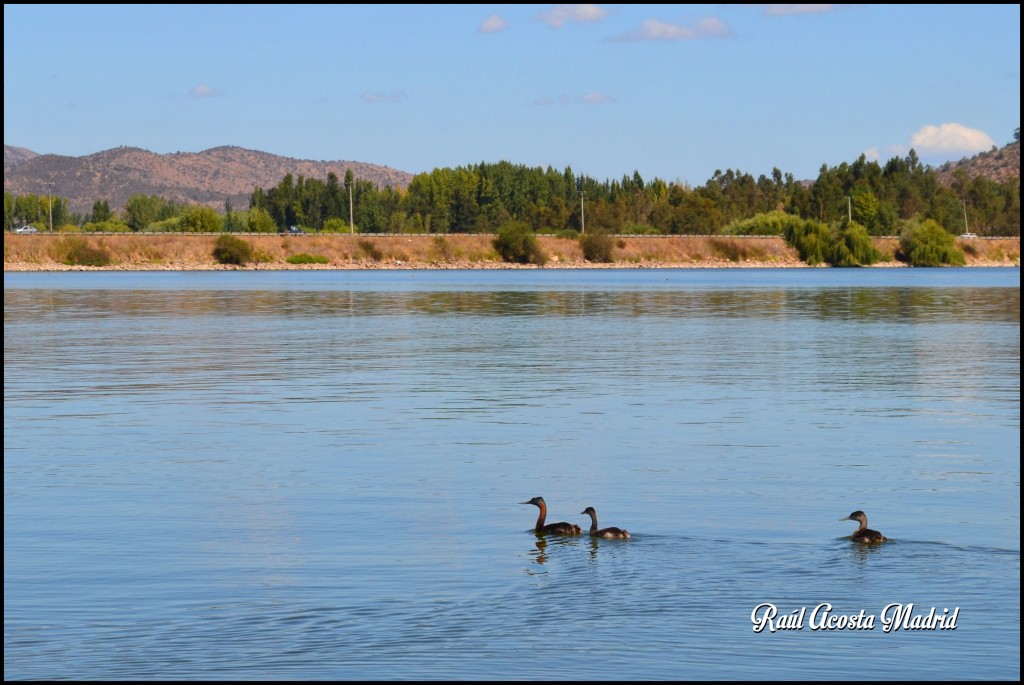 Foto de Lago Rapel (Libertador General Bernardo OʼHiggins), Chile