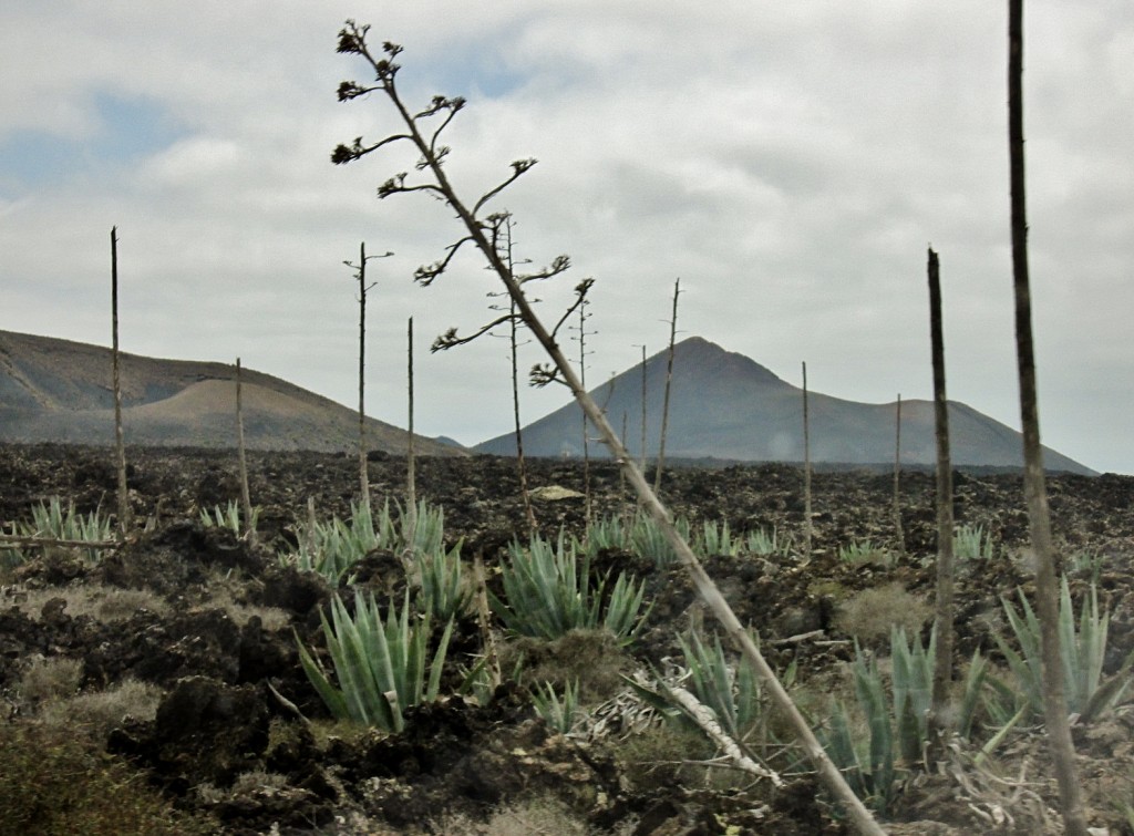 Foto: Timanfaya - Yaiza (Lanzarote) (Las Palmas), España