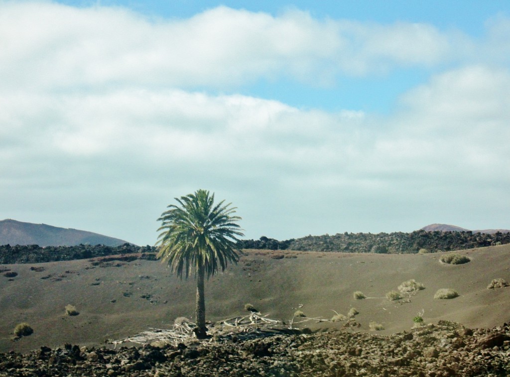 Foto: Timanfaya - Yaiza (Lanzarote) (Las Palmas), España