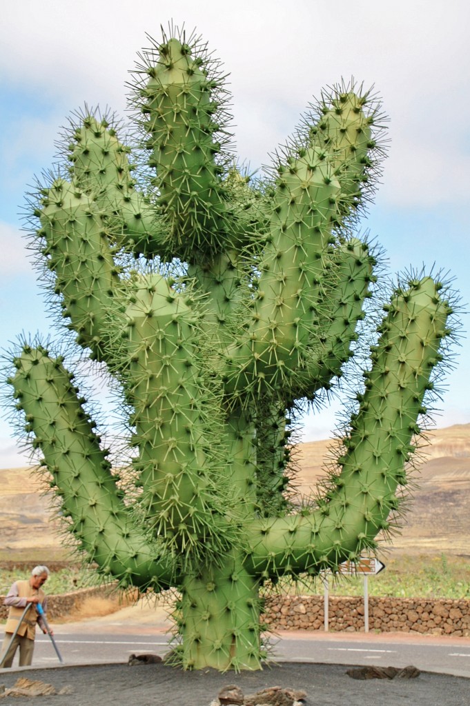 Foto: Jardín de Cactus - Guatiza (Lanzarote) (Las Palmas), España