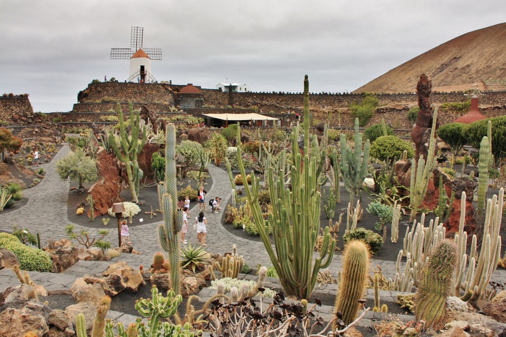 Foto: Jardín de Cactus - Guatiza (Lanzarote) (Las Palmas), España